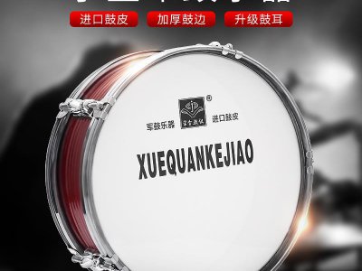 中小學(xué)音樂(lè)儀器