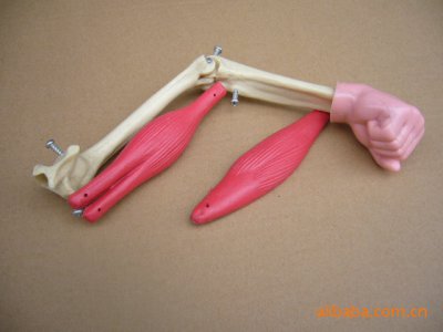 中小學勞技儀器