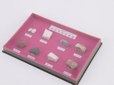 小學(xué)科學(xué)儀器