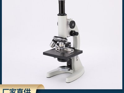 光學(xué)電子顯微鏡