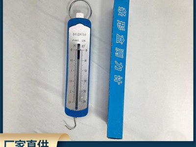 條形測力計中 彈簧測力計小學(xué)物理教學(xué)儀器平板測力計鉤