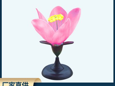 桃花模型初高中生物實驗教學(xué)演示科教儀器花類識別類型