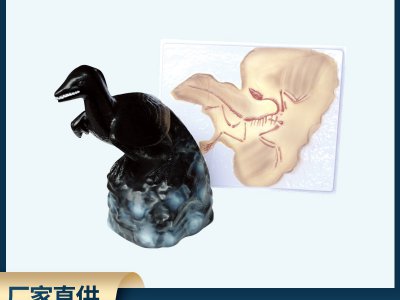 始祖鳥化石及復(fù)原模型 生物科教儀器 小學(xué)初高中生物科學(xué)批發(fā)