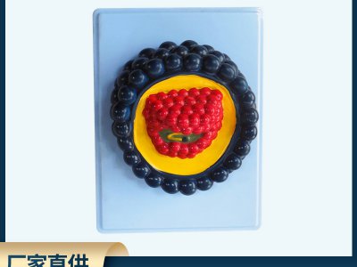 病毒模型 PVC材質(zhì)制作安全放心 中小學生物教學儀器模型