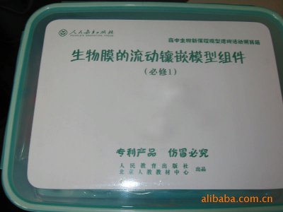 供應(yīng)生物教學(xué)器材細(xì)胞膜流動(dòng)鑲嵌模型